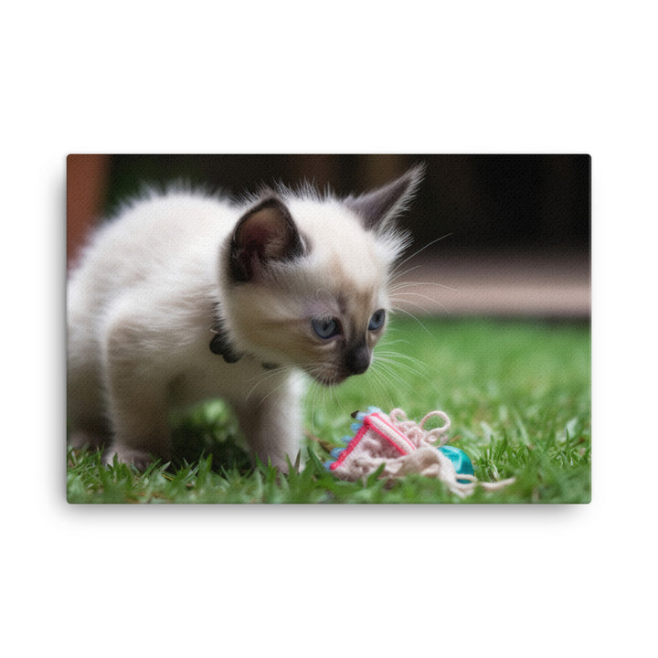 Adorable Balinese Kitten Playing with Toy canvas - Posterfy.AI