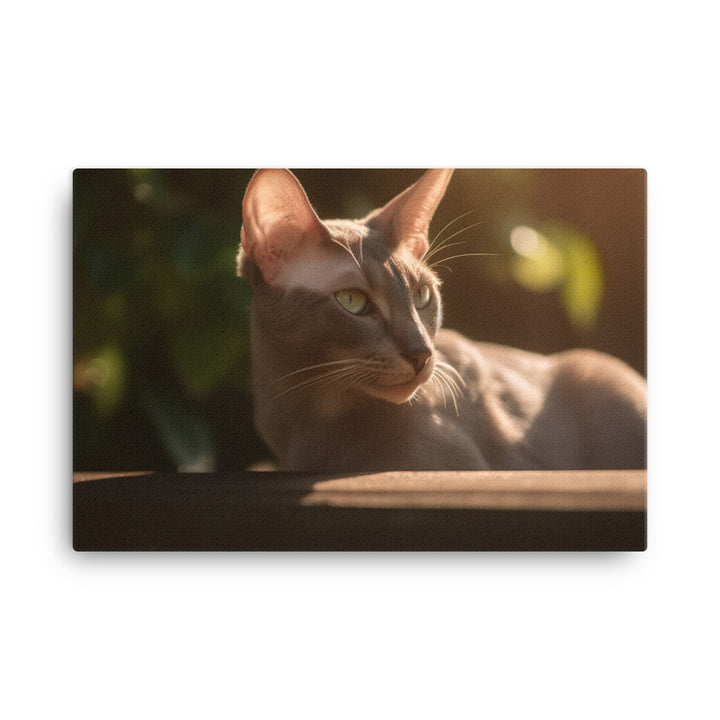 Curious Oriental Shorthair in Sunlight canvas - Posterfy.AI