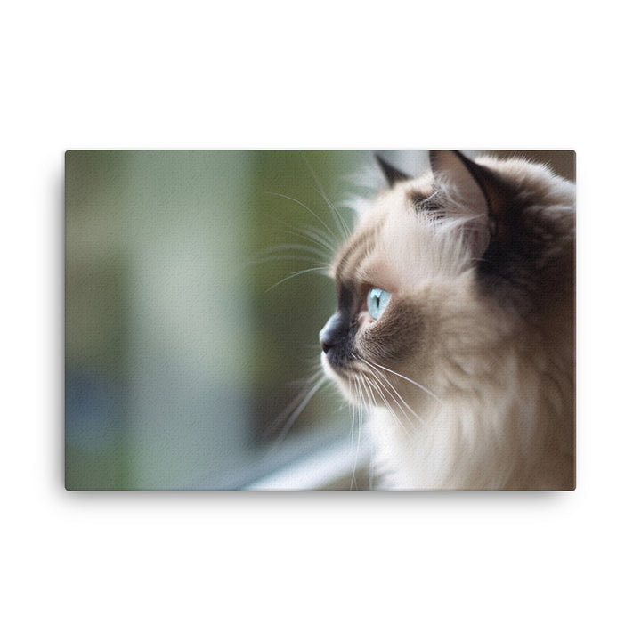 Himalayan kitten gazing out the window canvas - Posterfy.AI