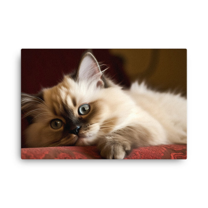 Adorable Himalayan Kitten resting on sofa canvas - Posterfy.AI