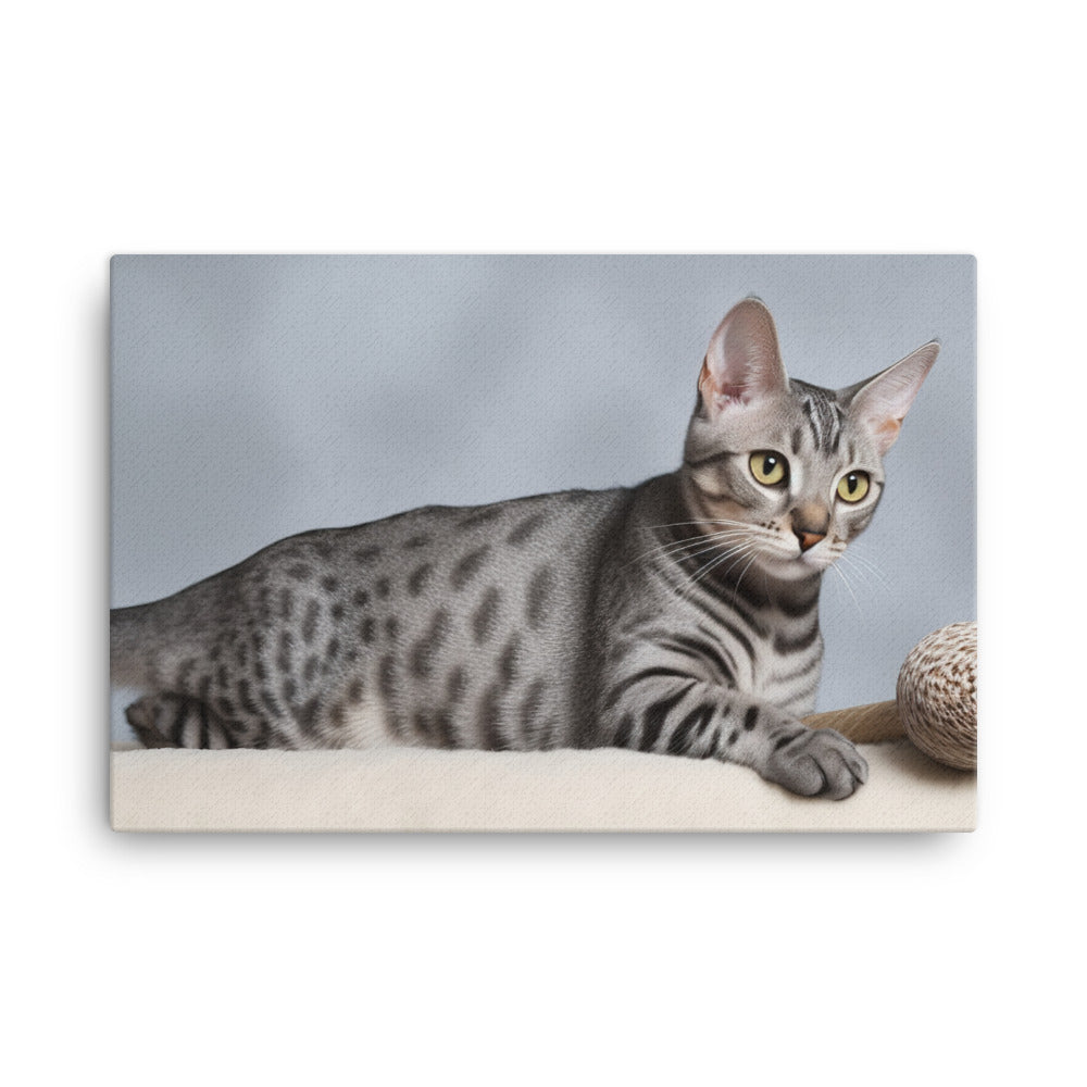 Egyptian Mau playing with toys  canvas - Posterfy.AI
