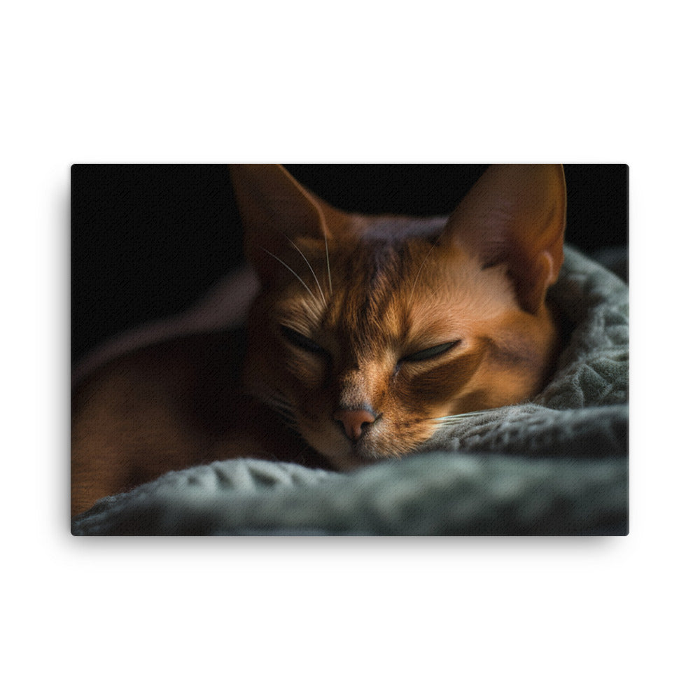 Sleepy Abyssinian in a cozy blanket canvas - Posterfy.AI