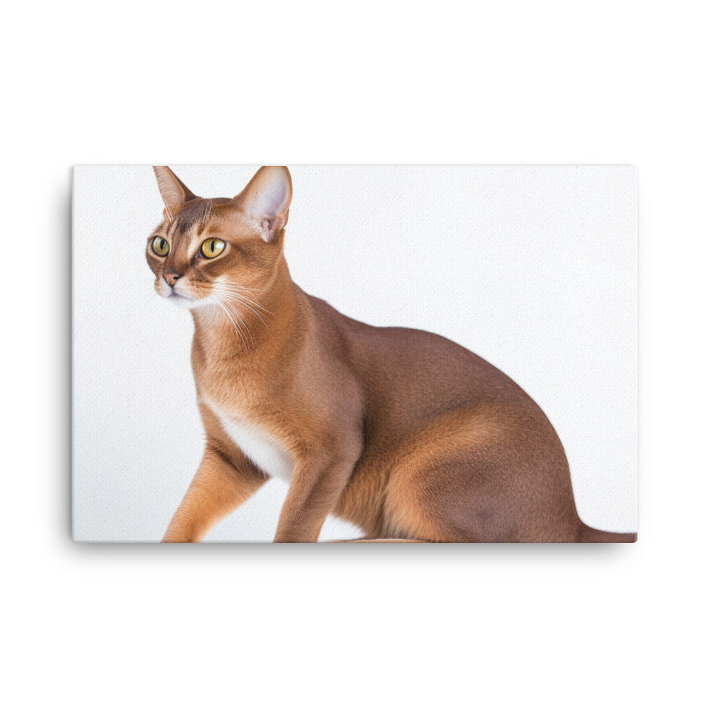Elegant Abyssinian on a white background canvas - Posterfy.AI