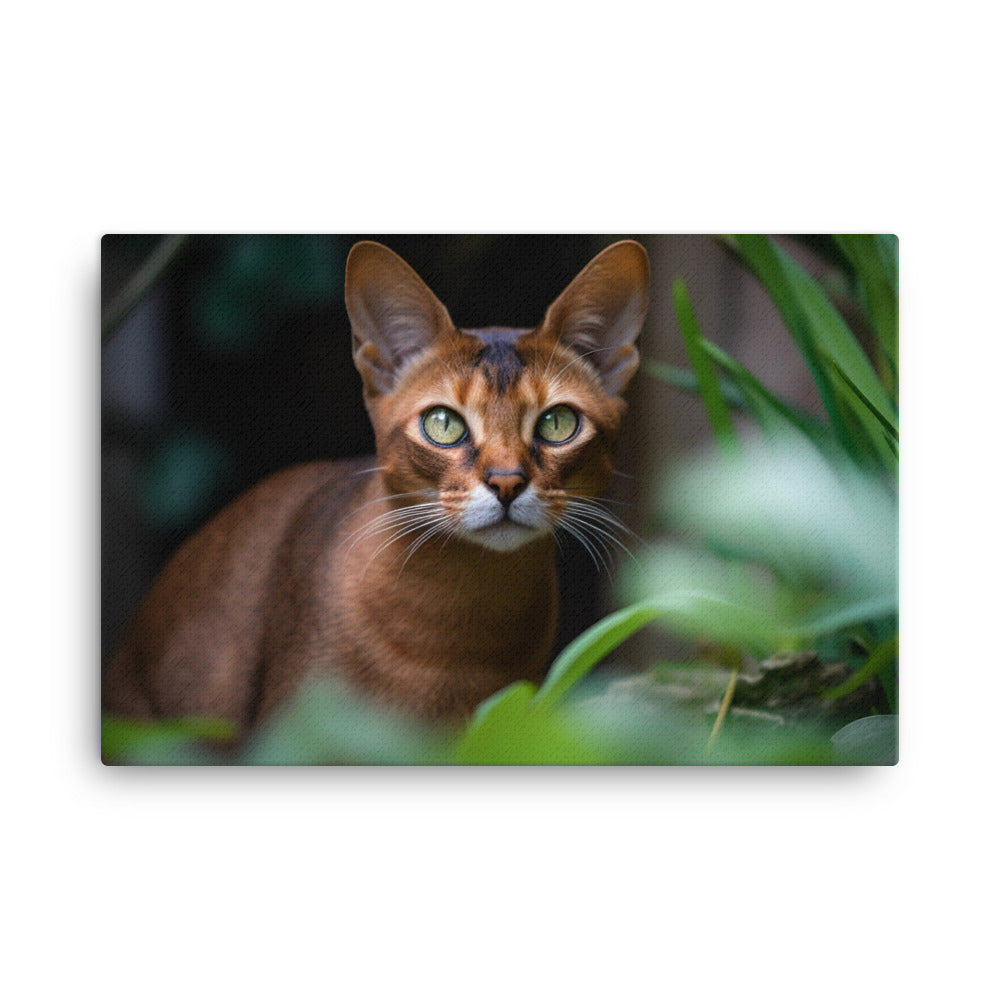 Curious Abyssinian exploring the garden canvas - Posterfy.AI