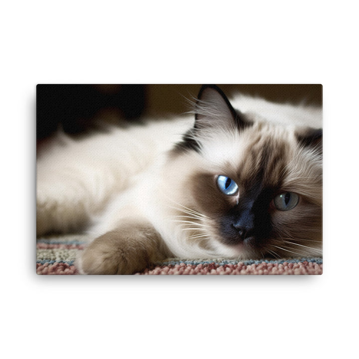 Fluffy Ragdoll Lounging on Plush Rug canvas - Posterfy.AI