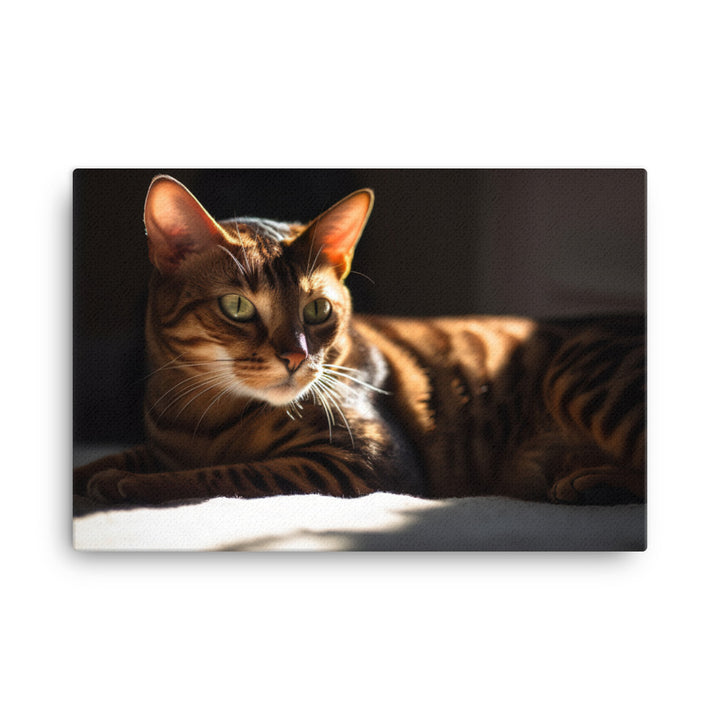 Majestic Bengal Cat Lounging in Sunbeam canvas - Posterfy.AI