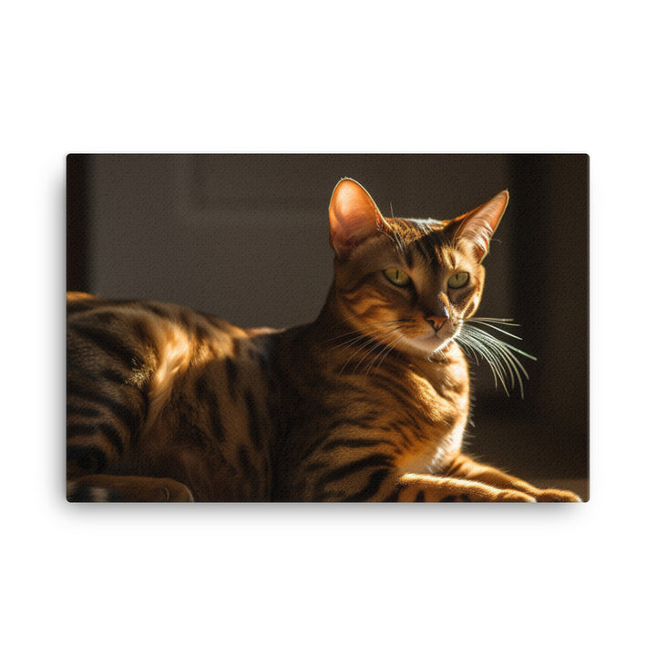 Majestic Bengal Cat Lounging in Sunbeam canvas - Posterfy.AI