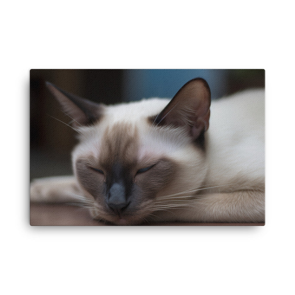 Sleepy Siamese Taking a Nap canvas - Posterfy.AI