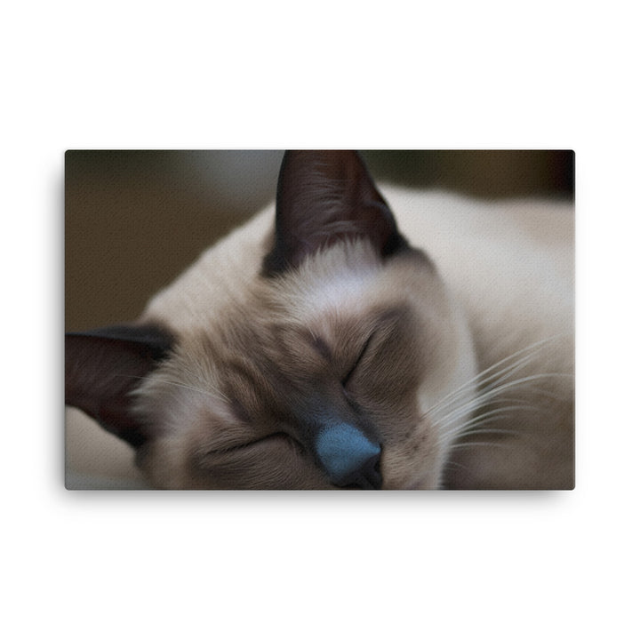 Sleepy Siamese Taking a Nap canvas - Posterfy.AI