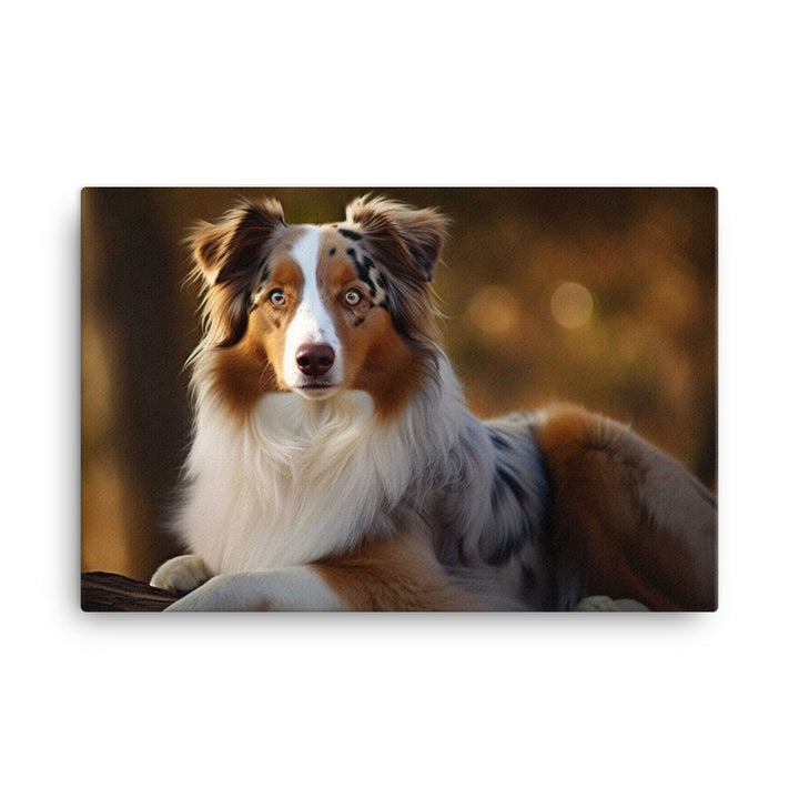 Graceful and loyal: Australian Shepherd canvas - Posterfy.AI