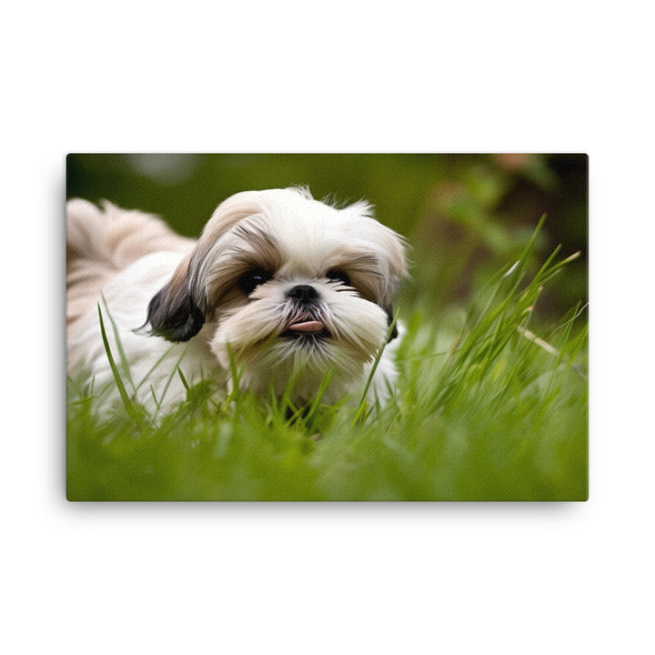 Playful Shih Tzu Enjoying the Outdoors canvas - Posterfy.AI