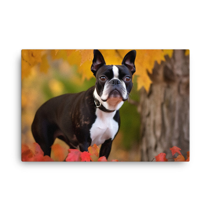 Boston Terrier with Fall Colors canvas - Posterfy.AI