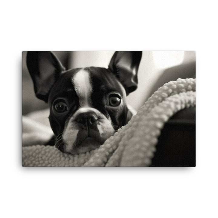 Boston Terrier Pup at Home canvas - Posterfy.AI