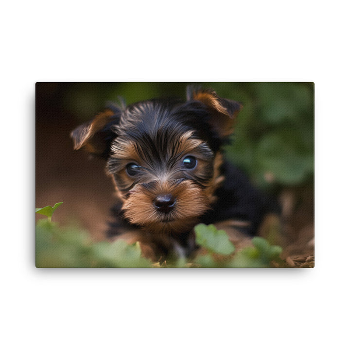 Yorkshire Terrier Pup canvas - Posterfy.AI