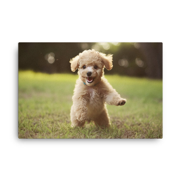 Playful Poodle Pup canvas - Posterfy.AI