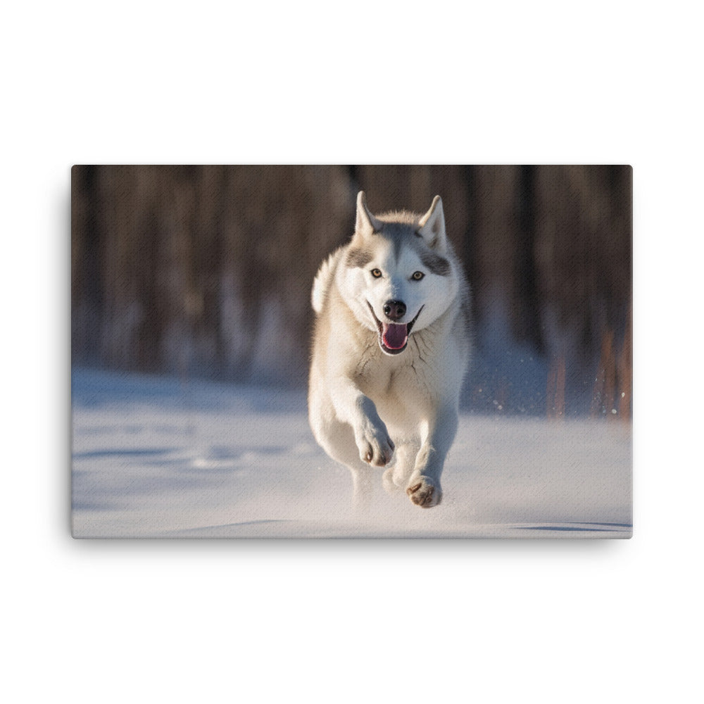Siberian Husky in full stride canvas - Posterfy.AI