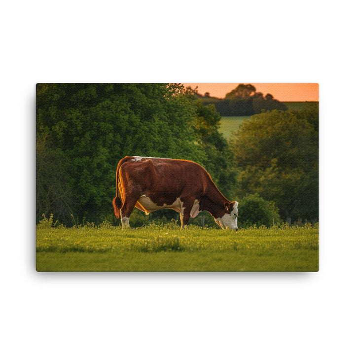 Hereford Cow grazing canvas - Posterfy.AI