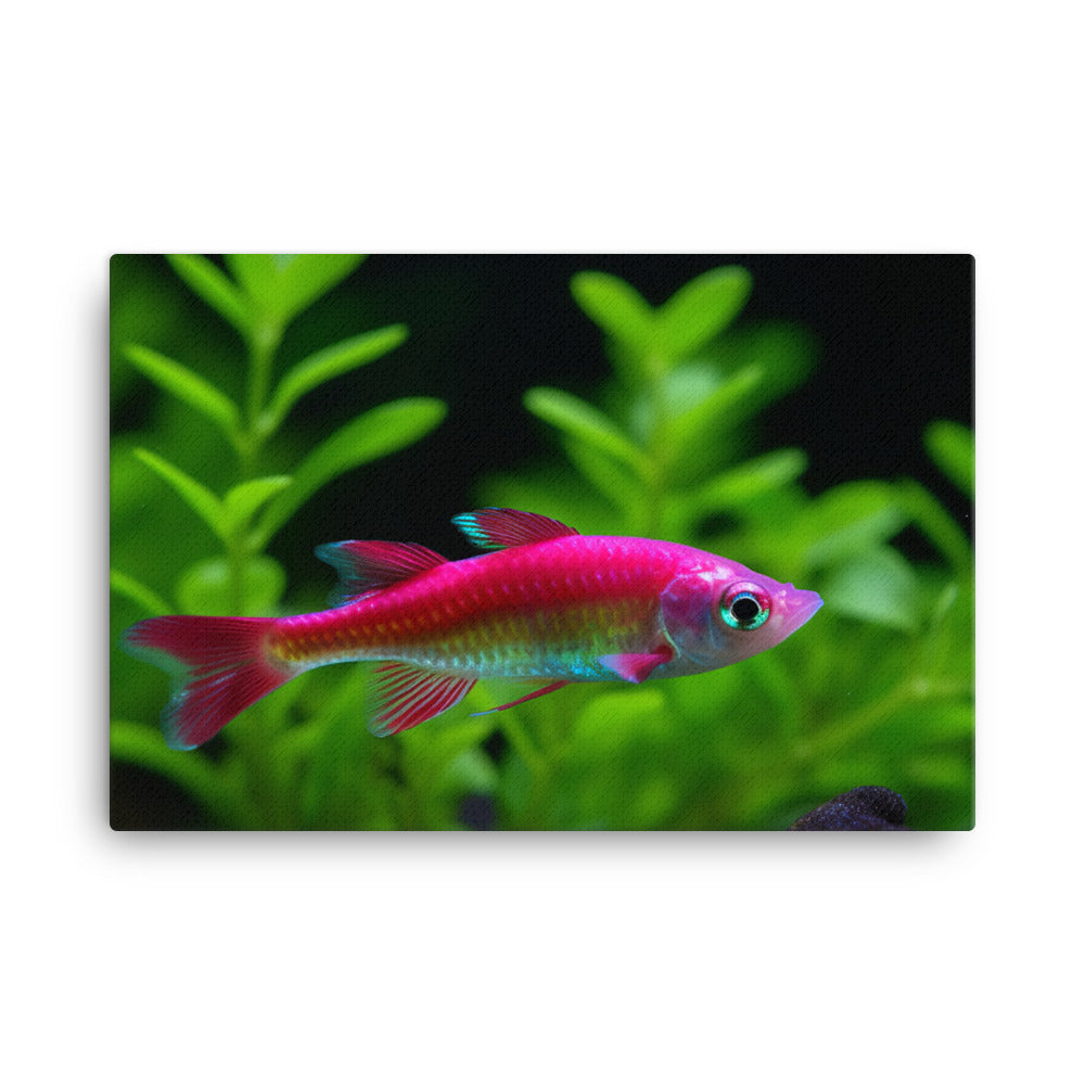 Cherry Barb Fish in a Planted Nano Tank canvas - Posterfy.AI