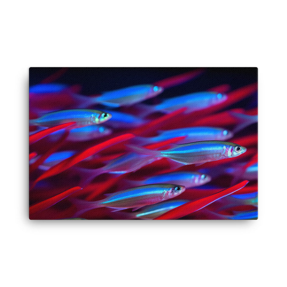 Neon Tetras Swimming in Harmony canvas - Posterfy.AI