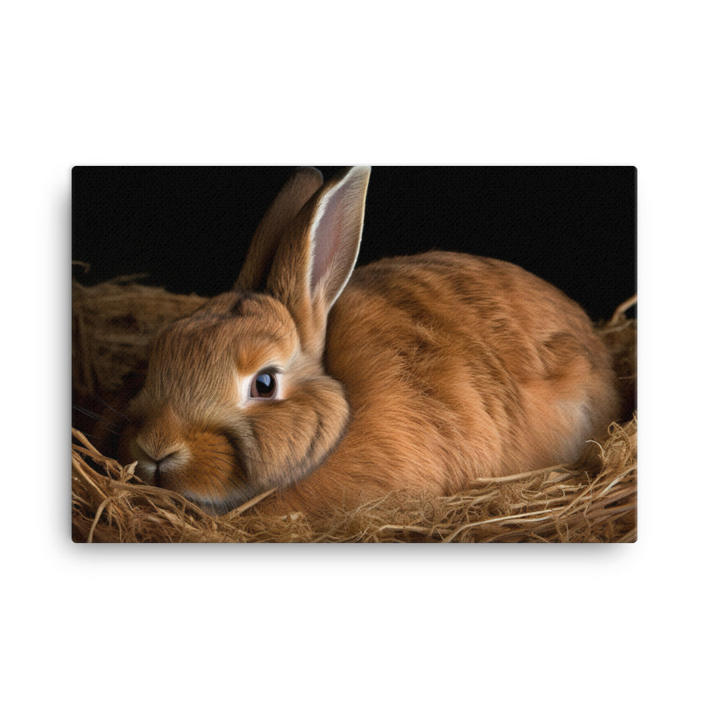 Mini Rex Bunny - Snuggled up for a Nap canvas - Posterfy.AI