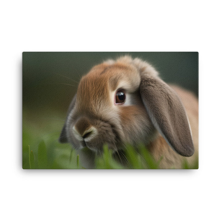 Holland Lop - Adorable and cuddly bunny in the grass canvas - Posterfy.AI