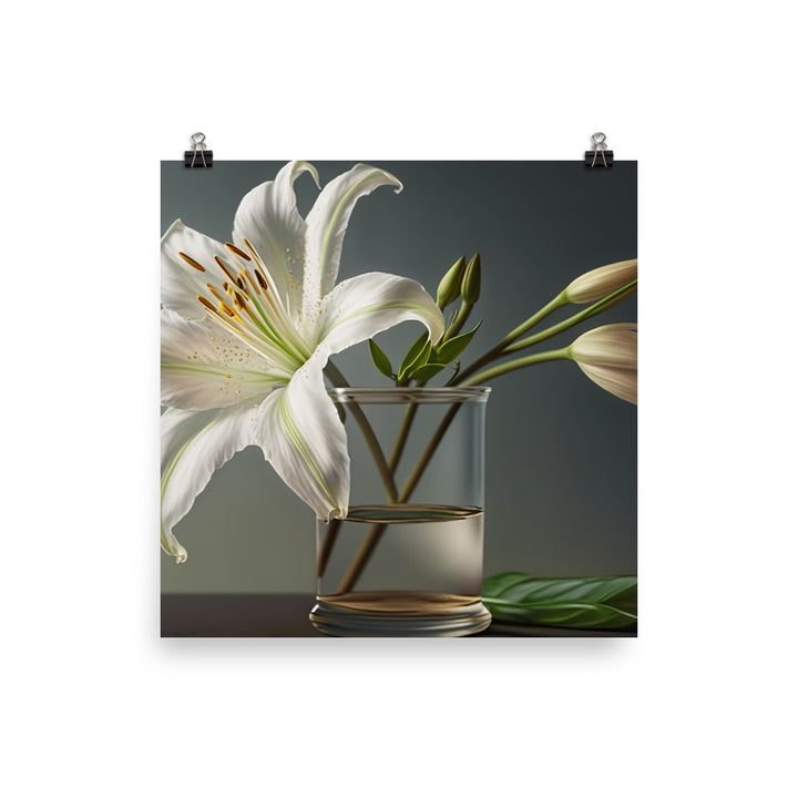 Large white lily by placing it in a simple glass vase photo paper poster - Posterfy.AI