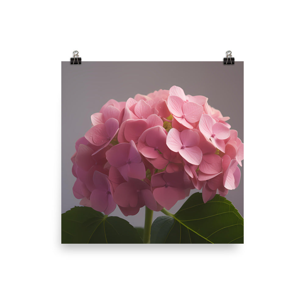 Soft Pink Hydrangea photo paper poster - Posterfy.AI