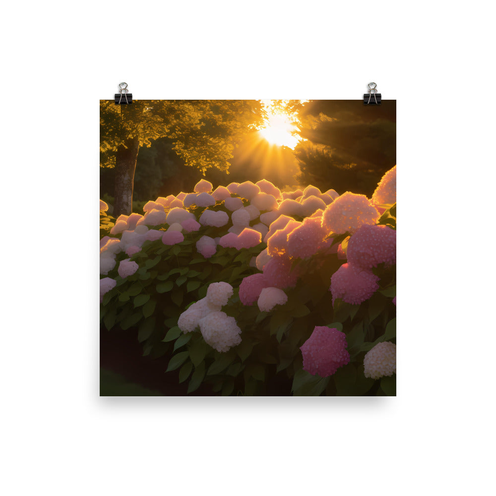 Hydrangea Sunset photo paper poster - Posterfy.AI