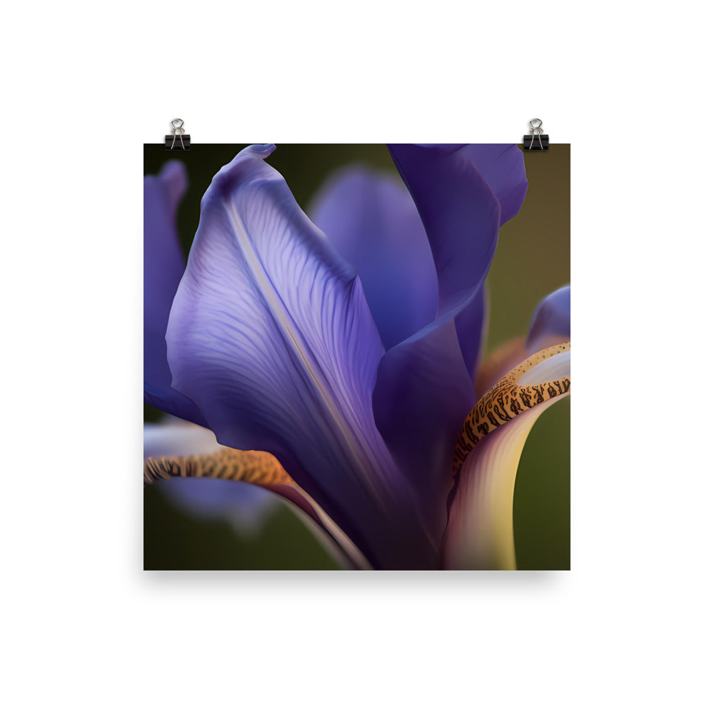 Graceful Curves botanical photo paper poster - Posterfy.AI