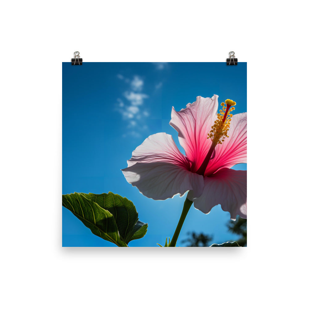 Hibiscus Flower Against a Blue Sky photo paper poster - Posterfy.AI