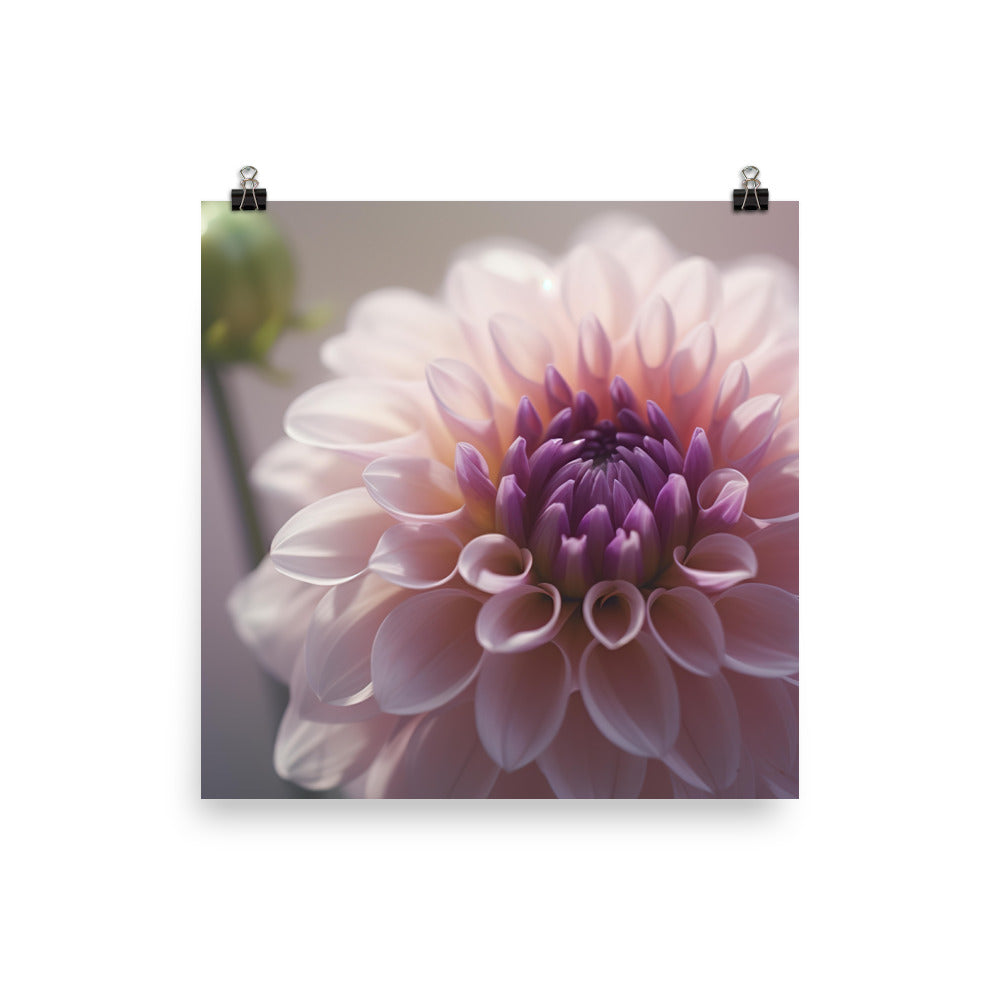 Pink Dahlia in Soft Focus photo paper poster - Posterfy.AI
