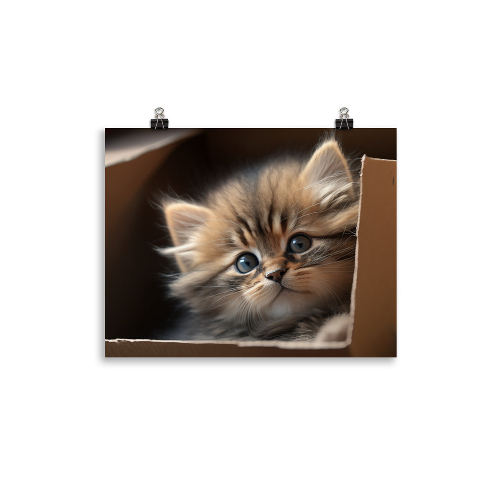 A fluffy kitten peering curiously out of a small cardboard box photo paper poster - Posterfy.AI