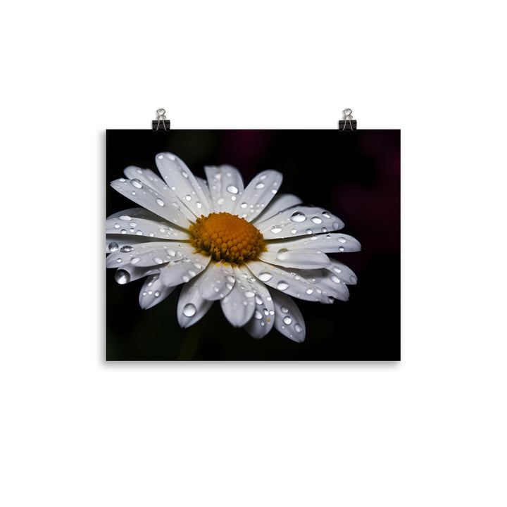 Daisy Delight photo paper poster - Posterfy.AI