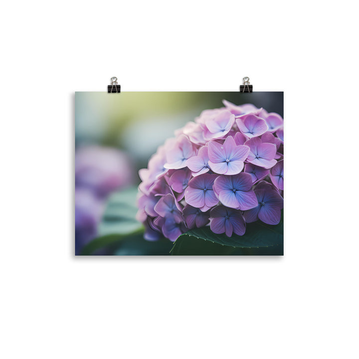 Soft and Dreamy Hydrangea photo paper poster - Posterfy.AI