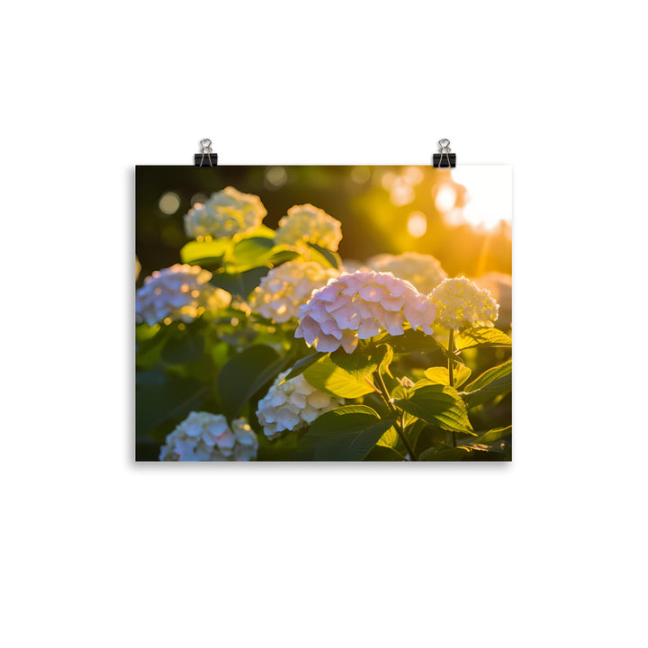 Hydrangea Sunset photo paper poster - Posterfy.AI