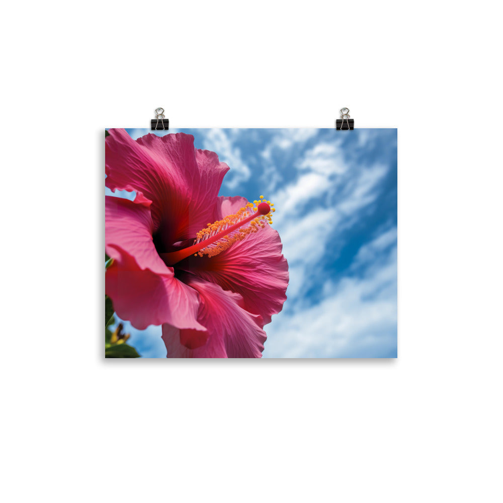 Hibiscus Flower Against a Blue Sky photo paper poster - Posterfy.AI