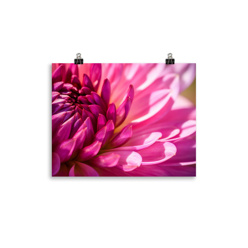 Vibrant Dahlia Under Sunlight photo paper poster - Posterfy.AI