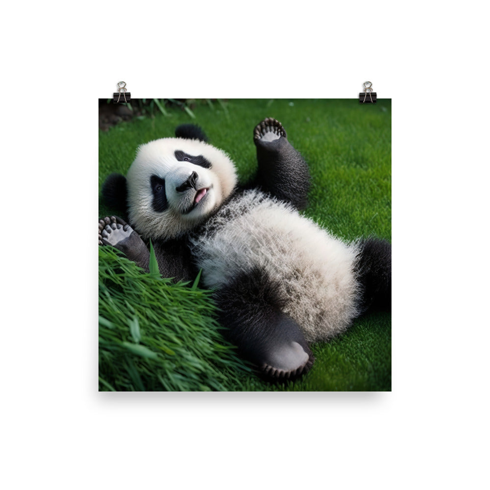 A playful panda bear rolling around in the grass photo paper poster - Posterfy.AI