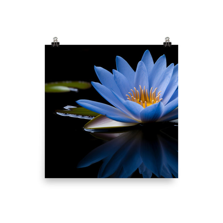 Blue Lily in the Pond photo paper poster - Posterfy.AI