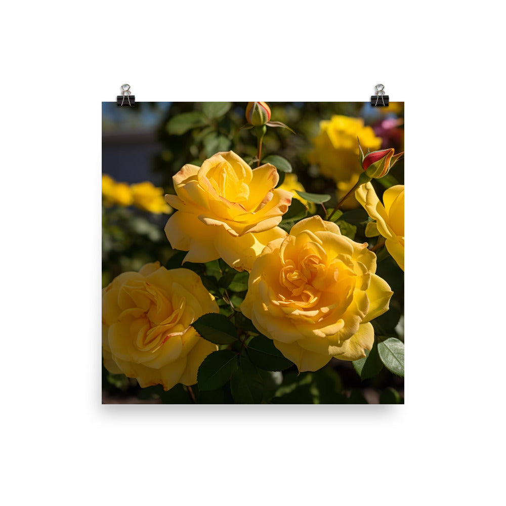 Sunny Yellow Roses photo paper poster - Posterfy.AI