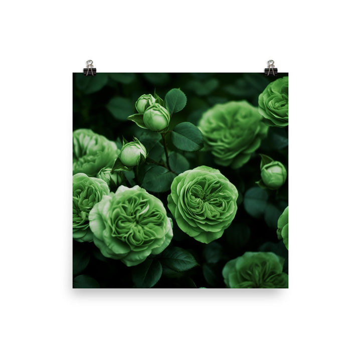 Refreshing Green Roses photo paper poster - Posterfy.AI