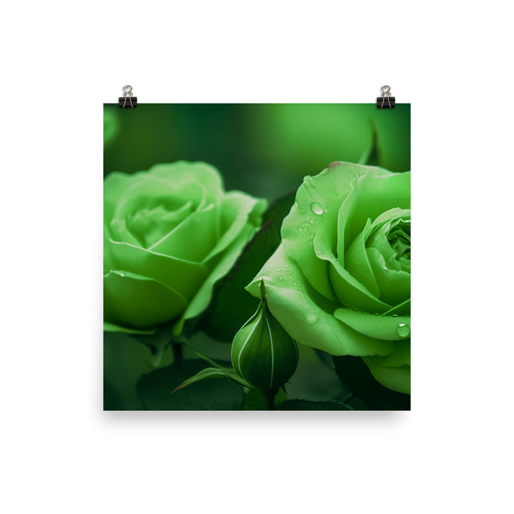 Refreshing Green Roses photo paper poster - Posterfy.AI