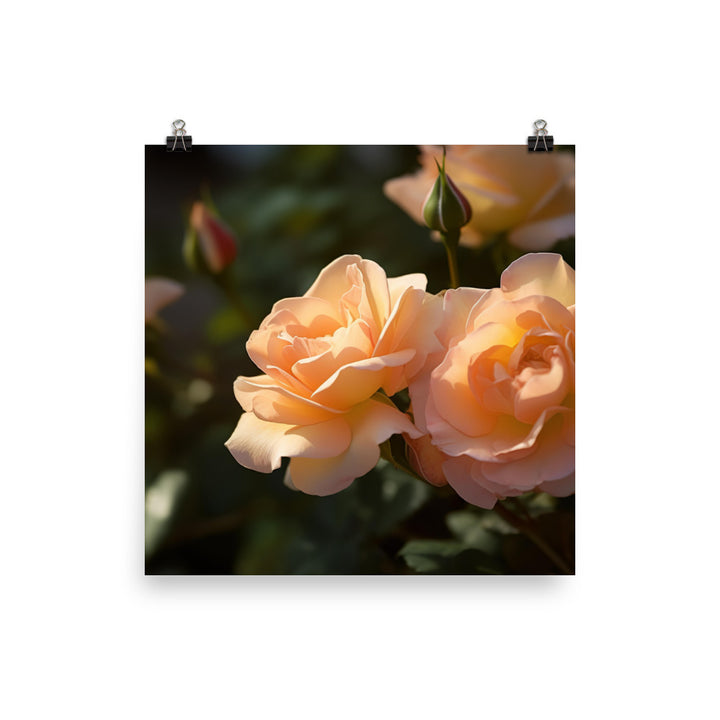 Lively Orange Roses photo paper poster - Posterfy.AI