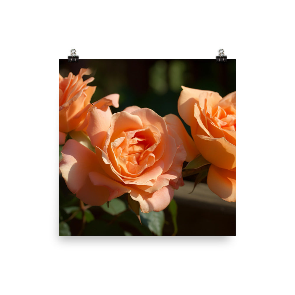 Lively Orange Roses photo paper poster - Posterfy.AI