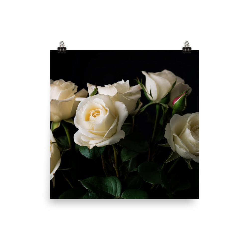 Classic White Roses photo paper poster - Posterfy.AI