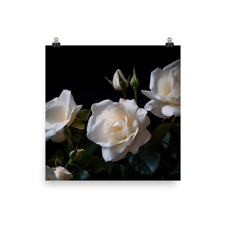 Classic White Roses photo paper poster - Posterfy.AI