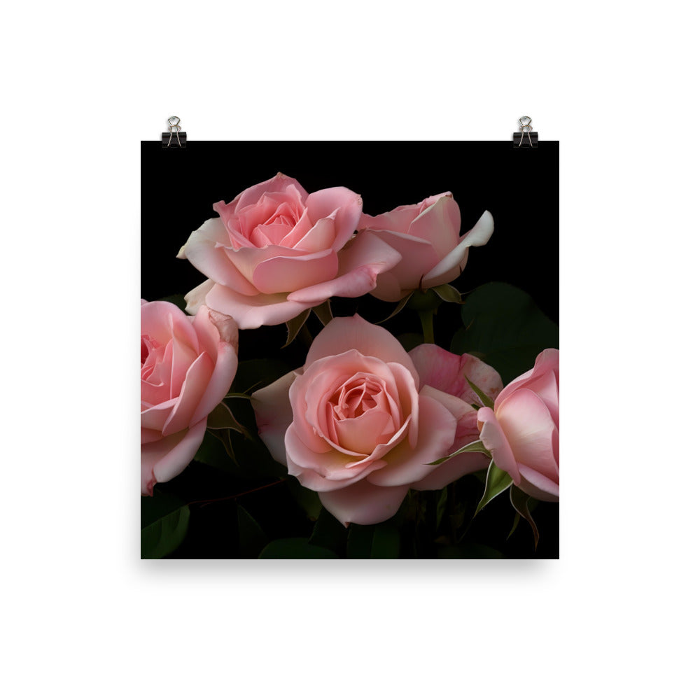 Blushing Pink Roses photo paper poster - Posterfy.AI