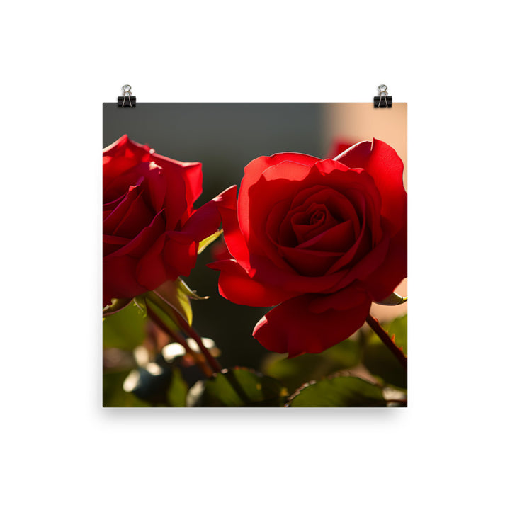 A Sea of Red Roses photo paper poster - Posterfy.AI