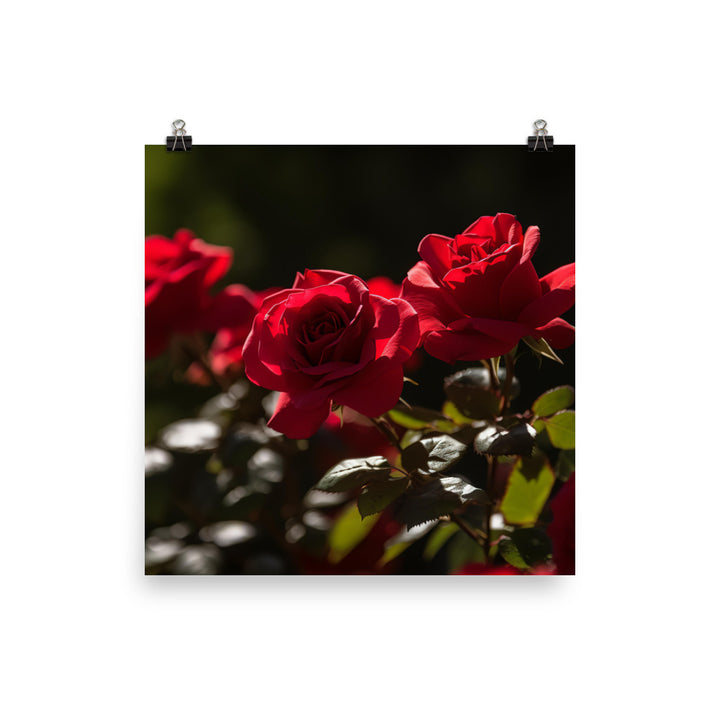 A Sea of Red Roses photo paper poster - Posterfy.AI