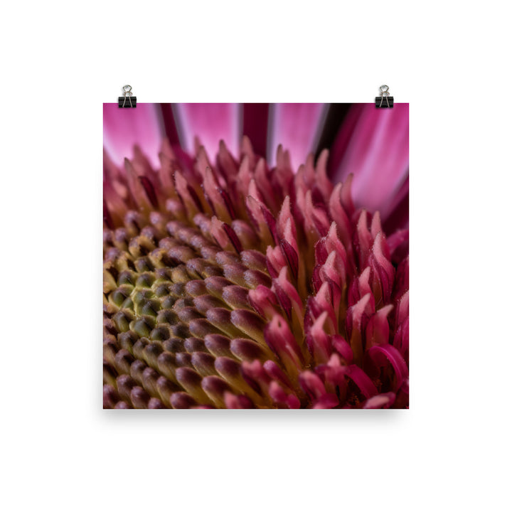 Macro Majesty photo paper poster - Posterfy.AI